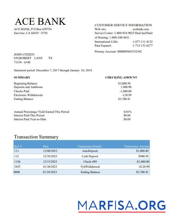 Printable USA ACE bank statement word sample